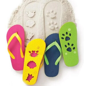 Foot Print Beach Sand Sandals Sea Shells Paw Prints